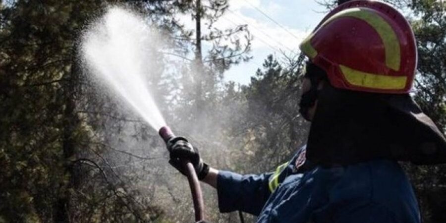 Οι κυβερνήσεις της ΕΕ δαπάνησαν 32,9 δισ. ευρώ για την πυροπροστασία το 2020 ή το 0,5% των συνολικών δαπανών τους