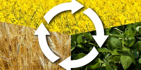 Παρεκκλίσεις από τα πρότυπα ΚΓΠΚ 7 και 8