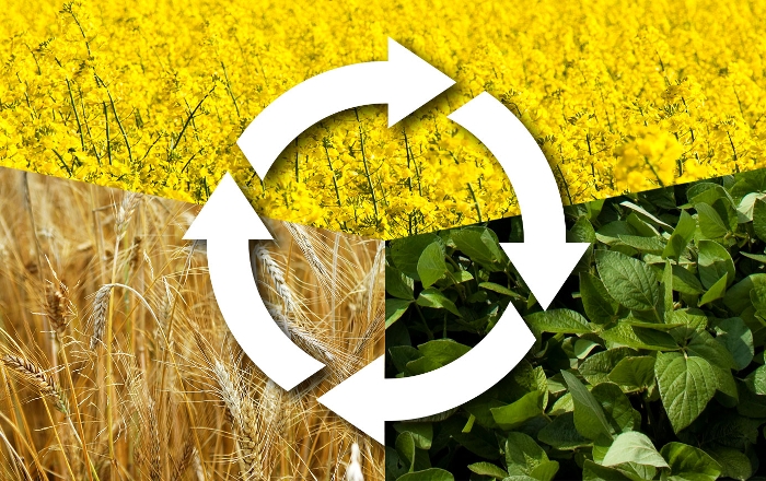 Παρεκκλίσεις από τα πρότυπα ΚΓΠΚ 7 και 8