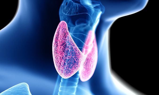 Η γενετική προδιάθεση για COVID-19 σχετίζεται με αυξημένο κίνδυνο εμφάνισης υποθυρεοειδισμού