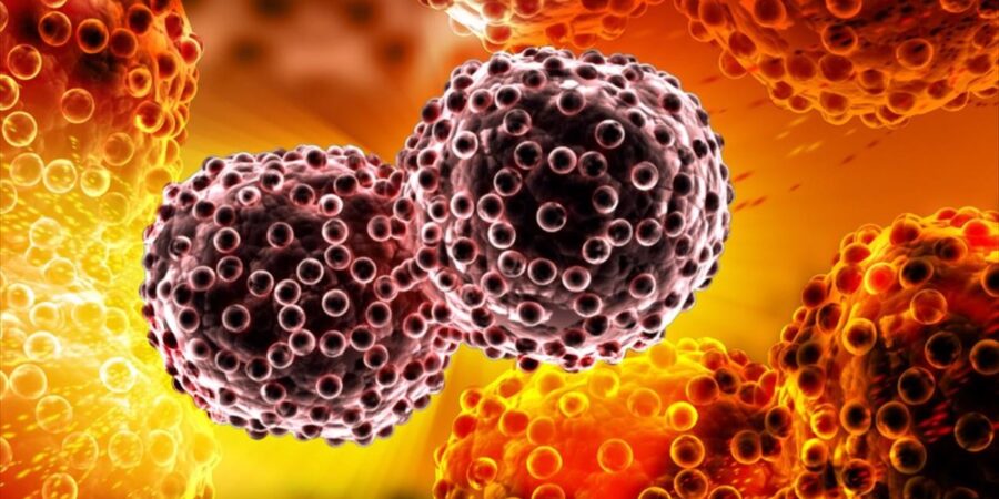 Χαρακτηρισμός των καρκινικών κυττάρων που διαφεύγουν της χημειοθεραπείας