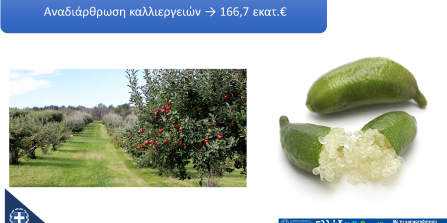 Ολοκληρώθηκε η Μελέτη για την Αναδιάρθρωση των Καλλιεργειών