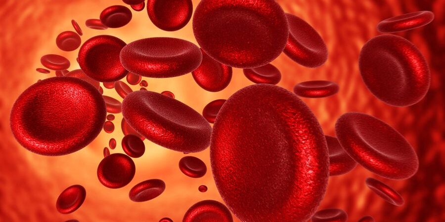 Ημέρα ευαισθητοποίησης για την σιδηροπενική αναιμία