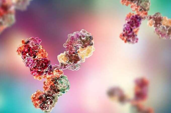 H αποτελεσματικότητα των θεραπευτικών μονοκλωνικών αντισωμάτων έναντι των υποστελεχών Όμικρον BQ.1.1 and XBB του Sars-CoV-2