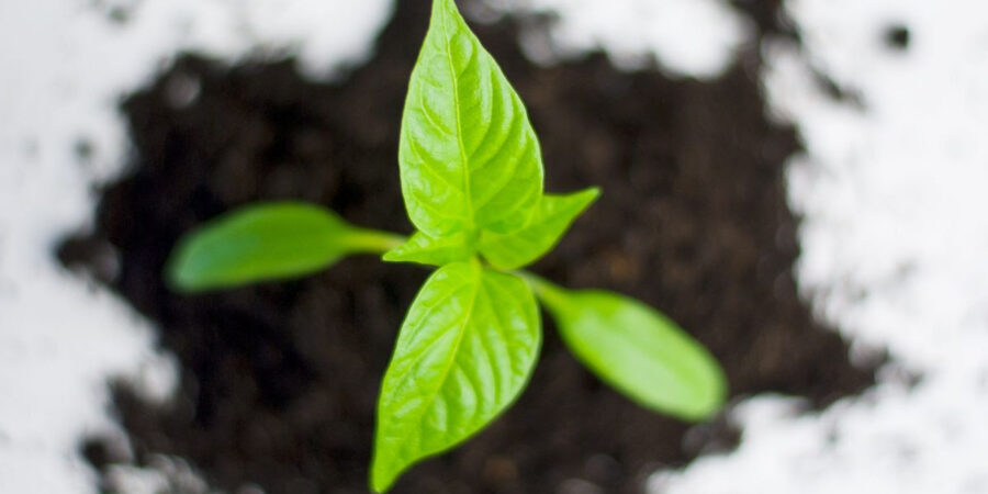 Ξεκινάει η αξιολόγηση των 330 επενδυτικών σχεδίων, συνολικού ύψους 483 εκατ. ευρώ, που κατατέθηκαν στον Αναπτυξιακό νόμο για αγροδιατροφή