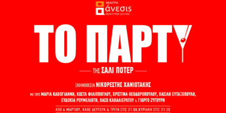 ΤΟ ΠΑΡΤΥ της Σάλι Πότερ