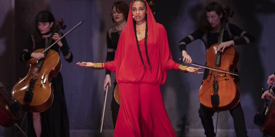 η IMANY VOODOOCELLO