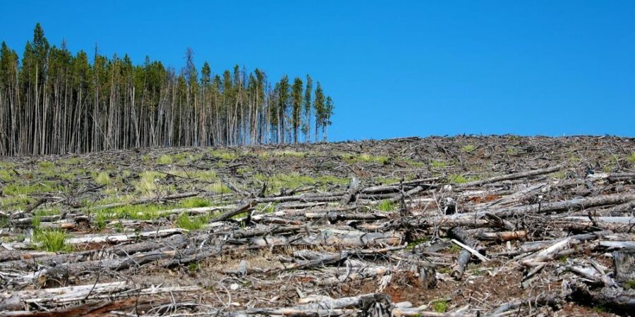 Οι επιστήμονες αποδεικνύουν σαφή σχέση μεταξύ της αποψίλωσης των δασών και της τοπικής πτώσης των βροχοπτώσεων