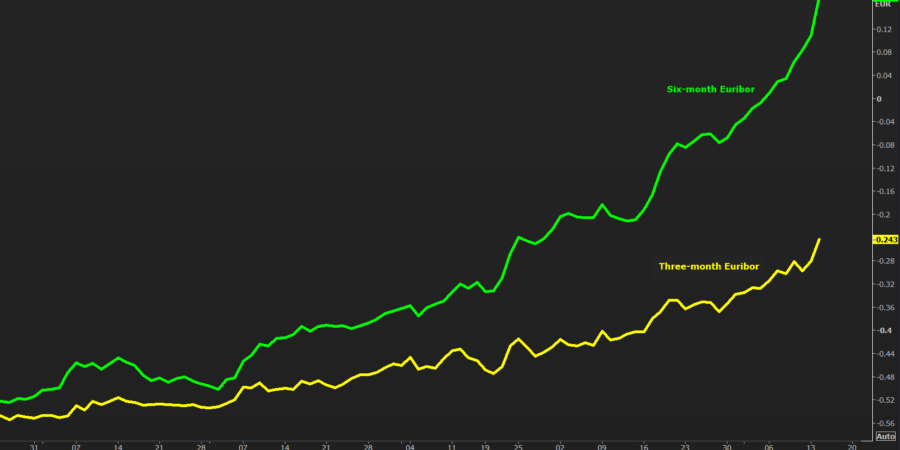 Ενόψει ανακοινώσεων για το “πάγωμα” του Euribor από τις τράπεζες
