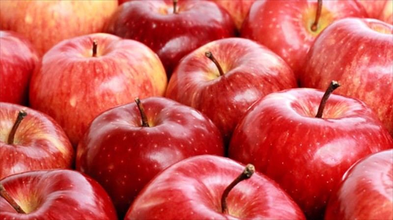 Εγκρίθηκε από την Ευρωπαϊκή Επιτροπή η πληρωμή των αποζημιώσεων καλλιεργειών στους παραγωγούς μήλων και καστάνων