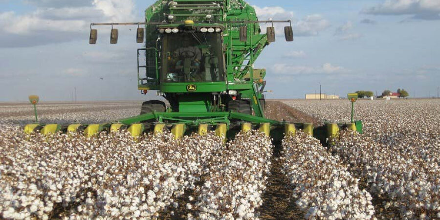 Δάνεια Ταμείου Ανάκαμψης: 29 ομάδες βαμβακοπαραγωγών για επενδύσεις ύψους 40,5 εκατ. ευρώ