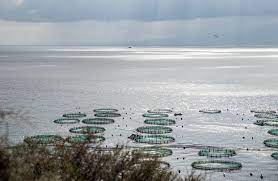 Πρόοδος πληρωμών αλιέων & εταιρειών υδατοκαλλιέργειας για την Ουκρανική κρίση από το Υπουργείο Αγροτικής Ανάπτυξης & Τροφίμων