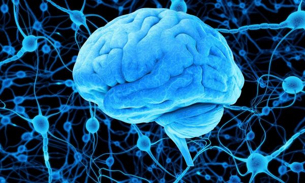 Εντοπίστηκαν μυστηριώδη σπειροειδή σήματα στον ανθρώπινο εγκέφαλο