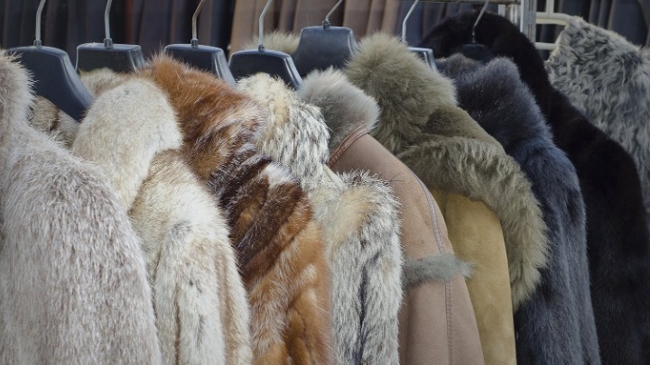 Αναστολή συμβάσεων εργασίας στον κλάδο της γουνοποιίας για τον Ιούνιο Προθεσμίες υποβολής δηλώσεων στο ΠΣ «ΕΡΓΑΝΗ»