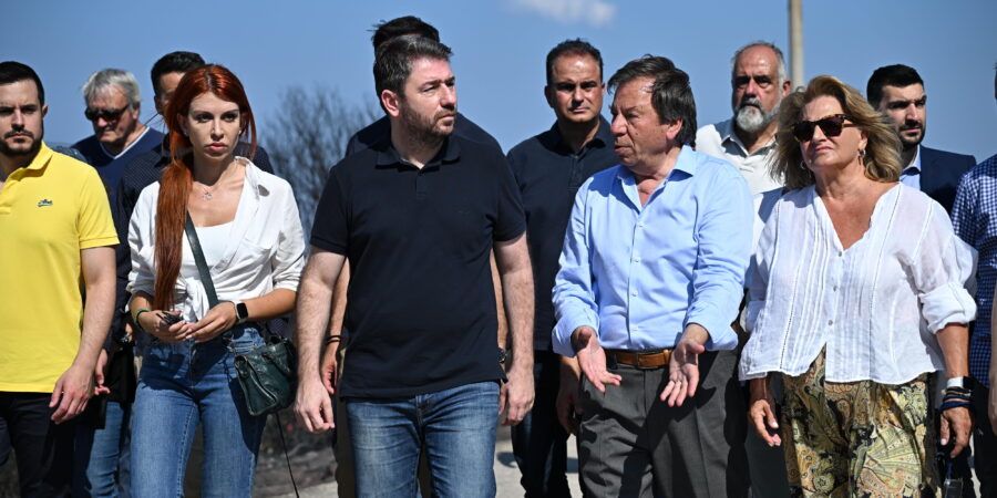 Νίκος Ανδρουλάκης: «Πολιτικές πρωτοβουλίες με ενίσχυση των μηχανισμών πρόληψης»