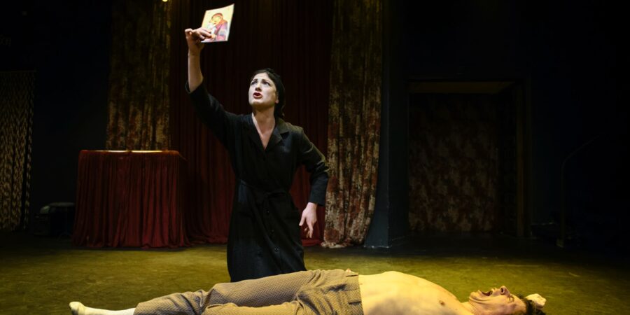 «Μπλε καστόρινα παπούτσια»