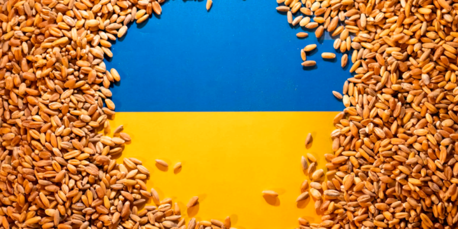 Η σπορά του χειμερινού σιταριού στην Ουκρανία παραμένει αμετάβλητη παρά την εξαγωγική κρίση