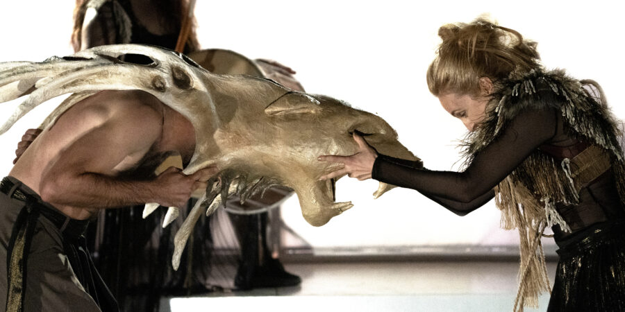 Ευριπίδη Βάκχες