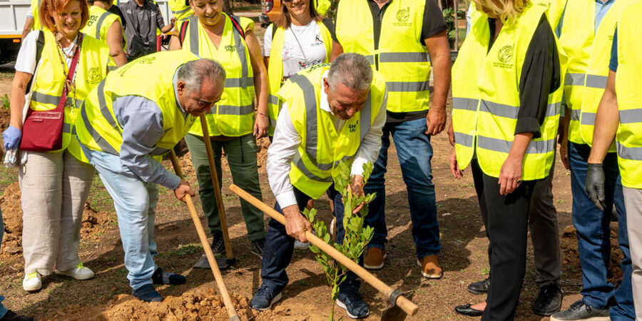 Γ. Χατζηθεοδοσίου από τη νέα δενδροφύτευση του Ε.Ε.Α. στο Ίλιον: «Για να υπάρχουν επιχειρήσεις πρέπει να υπάρχει περιβάλλον»»