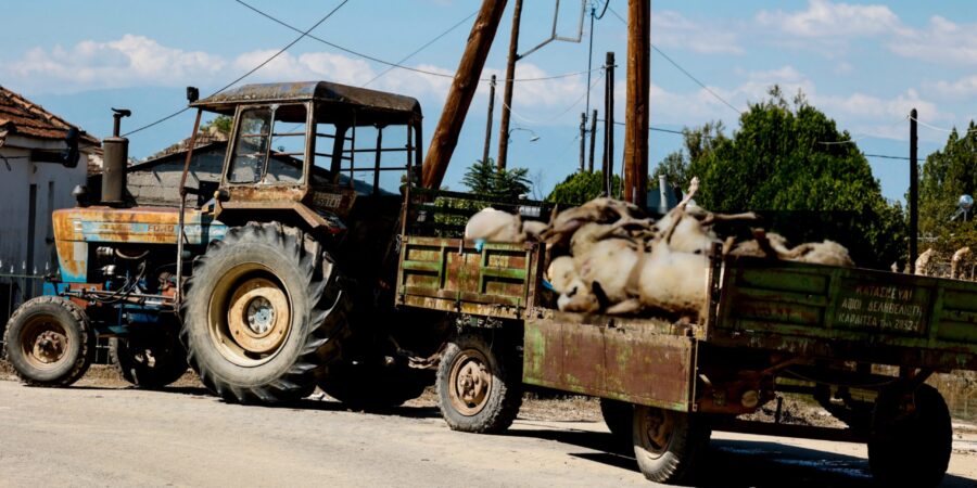 Λ. Αυγενάκης: Κάλυψη 100% κάθε δαπάνης αντικατάστασης ζωϊκού κεφαλαίου για αποζημιώσεις αγροτών στη Θεσσαλία