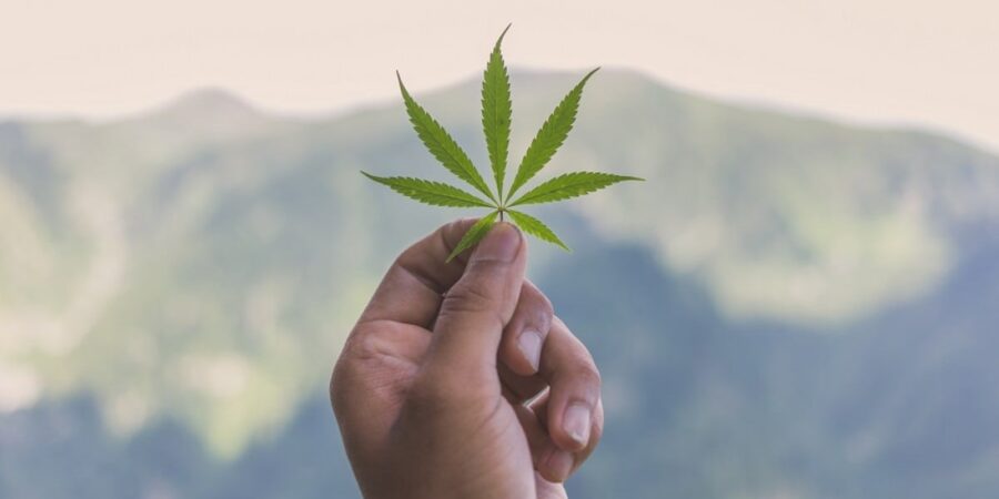 Η χρήση μαριχουάνας αυξάνει τον κίνδυνο καρδιακής προσβολής, καρδιακής ανεπάρκειας και εγκεφαλικού, αναφέρουν μελέτες