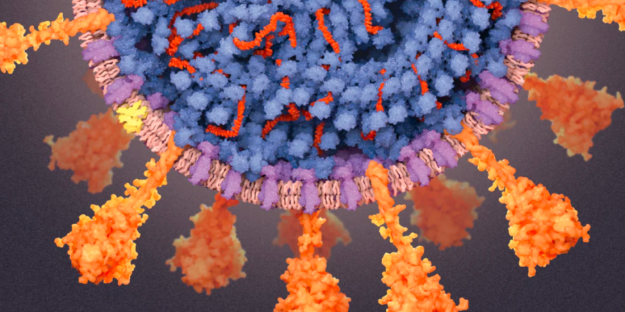 Επιμονή των συμπτωμάτων μετά την λοίμωξη COVID-19 στο γενικό πληθυσμό δύο χρόνια μετά την προσβολή από τον ιό SARS-CoV-2
