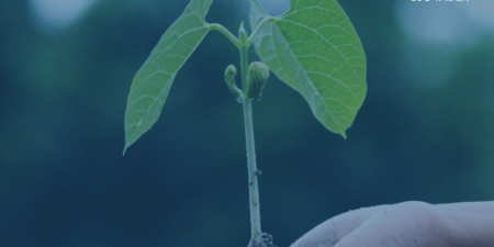 Η ΟΛΘ Α.Ε. στον δείκτη ATHEX ESG