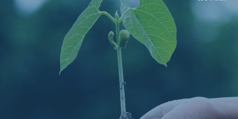 Η ΟΛΘ Α.Ε. στον δείκτη ATHEX ESG