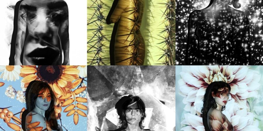 ΕΣΥ, Η ΖΩΩΔΗΣ ΜΗΧΑΝΗ