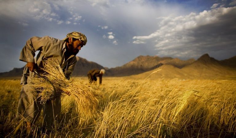 Βυθίζονται στα χρέη οι αγρότες στην Τουρκία