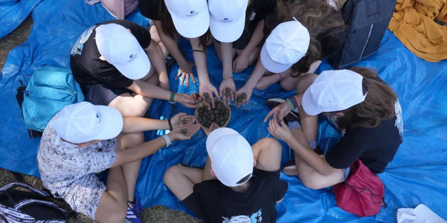 HELLENiQ ENERGY: Εκπαιδευτικές Δράσεις για 1.100+ μαθητές και δημιουργία πάρκων, με αφορμή την Παγκόσμια Ημέρα Περιβάλλοντος