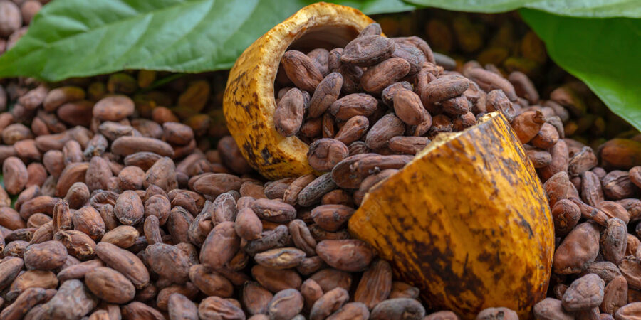 Οι τιμές του κακάο εκτινάσσονται στα ύψη