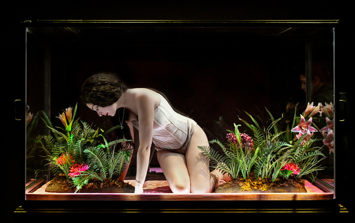 Amalia melancholia η βασίλισσα των φοινίκων