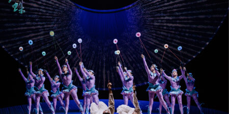 Flying Fairy Chinese Acrobatic Show