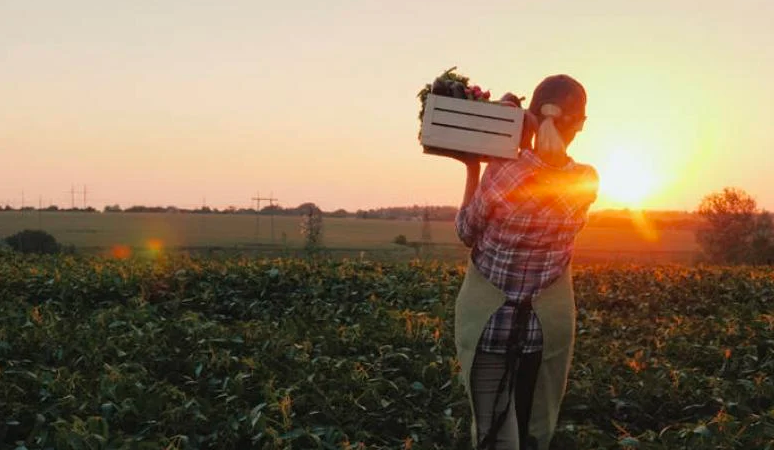 Σήμερα θα κατατεθεί το επίδομα των 1.000 και 700 ευρώ στις πολύτεκνες και τρίτεκνες αγρότισσες μητέρες