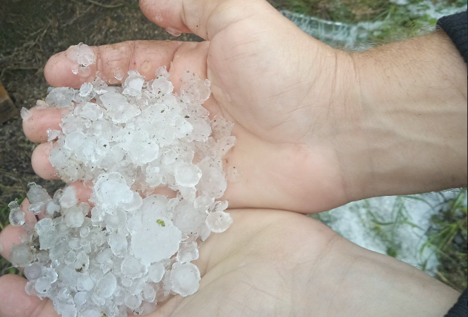 ΕΛΓΑ: Καταγραφές ζημιών στις περιοχές που επλήγησαν από χαλάζι