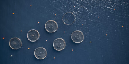 Ελληνική ιχθυοκαλλιέργεια: 131.300 τόνοι παραγωγής αξίας 752 εκατ. ευρώ.