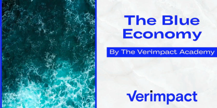 Η Verimpact Academy παρουσιάζει τη νέα, διαδικτυακή πλατφόρμα της και εγκαινιάζει επιμορφωτικό σεμινάριο για τη Γαλάζια Οικονομία