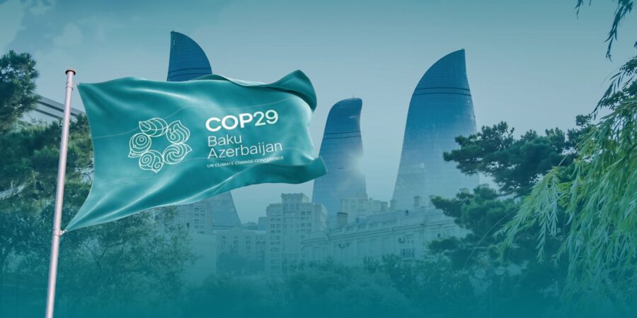 COP29: Το Ευρωκοινοβούλιο ζητά όλες οι χώρες να συνεισφέρουν οικονομικά στη δράση για το κλίμα