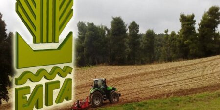 ΕΛΓΑ: 38 εκατ. € σε 12.915 δικαιούχους για ζημιές στη φυτική παραγωγή και απώλεια ζωικού κεφαλαίου το 2024