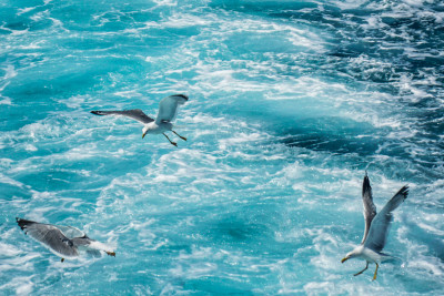 Παρατηρητήριο “weseayou”