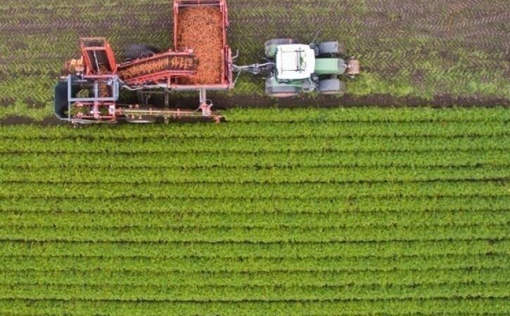 Με αρχικό προϋπολογισμό 135 εκατ. ευρώ ξεκινά το πρόγραμμα μεταποίησης, εμπορίας και ανάπτυξης γεωργικών προϊόντων, του ΣΣ ΚΑΠ