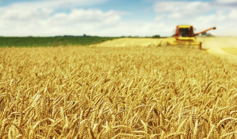 «Πράσινο φως» για νέους δασμούς σε αγροτικά προϊόντα Ρωσίας και Λευκορωσίας