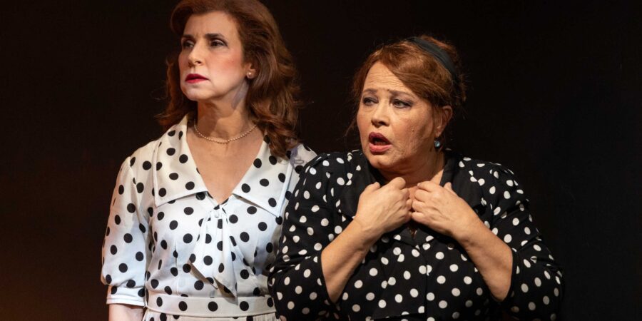 Για την παράσταση ‘’ Το τρίτο στεφάνι – Εγώ η Εκάβη’’