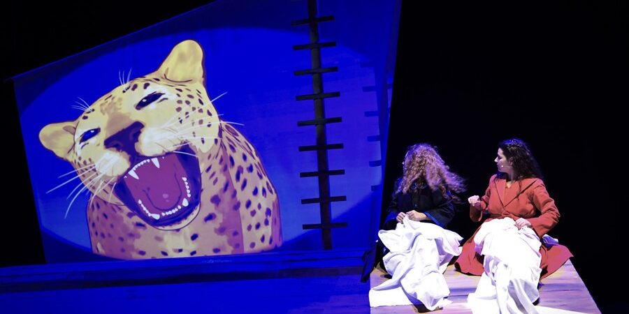 ΤΟ ΚΑΠΛΑΝΙ ΤΗΣ ΒΙΤΡΙΝΑΣ