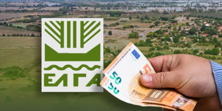 ΕΛΓΑ: Πληρωμή 13,5 εκατ. ευρώ για πυρκαγιές 2021
