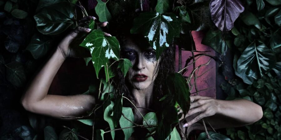 Η ΚΑΤΣΑΡΙΔΑ Κ.