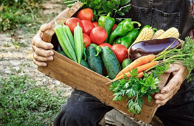 Την ενίσχυση της θέσης των αγροτών στην αλυσίδα τροφίμων στηρίζει το ΕΚ
