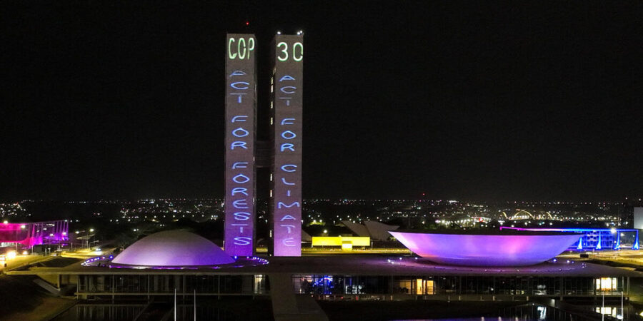 Οι ηγέτες στην COP30 πρέπει να δράσουν: 9 στους 10 πολίτες θέλουν προστασία των δασών για καταπολέμηση της κλιματικής κρίσης