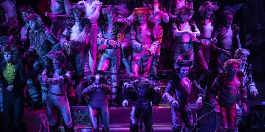 Το CATS επέστρεψε στην Αθήνα κι ενθουσίασε!